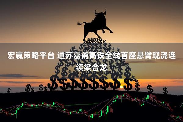 宏赢策略平台 通苏嘉甬高铁全线首座悬臂现浇连续梁合龙