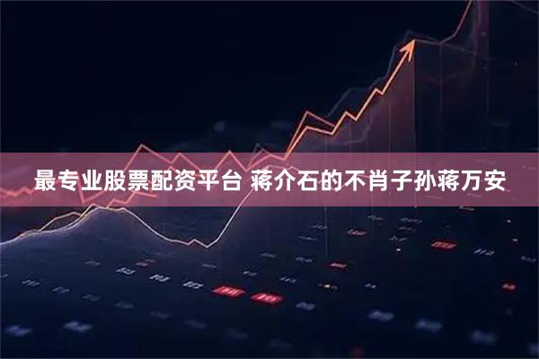 最专业股票配资平台 蒋介石的不肖子孙蒋万安
