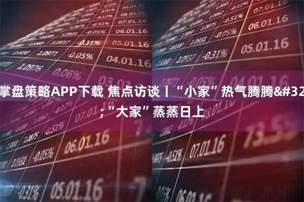 掌盘策略APP下载 焦点访谈丨“小家”热气腾腾 “大家”蒸蒸日上