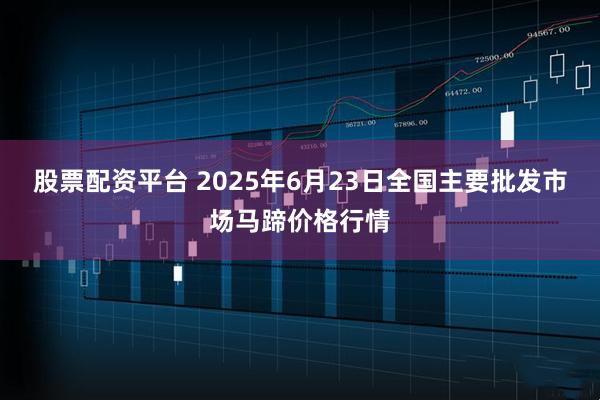 股票配资平台 2025年6月23日全国主要批发市场马蹄价格行情