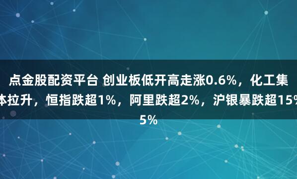 点金股配资平台 创业板低开高走涨0.6%，化工集体拉升，恒指跌超1%，阿里跌超2%，沪银暴跌超15%