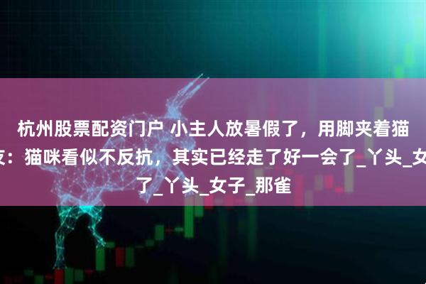 杭州股票配资门户 小主人放暑假了，用脚夹着猫咪。网友：猫咪看似不反抗，其实已经走了好一会了_丫头_女子_那雀