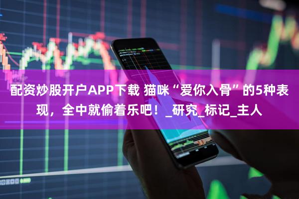 配资炒股开户APP下载 猫咪“爱你入骨”的5种表现，全中就偷着乐吧！_研究_标记_主人