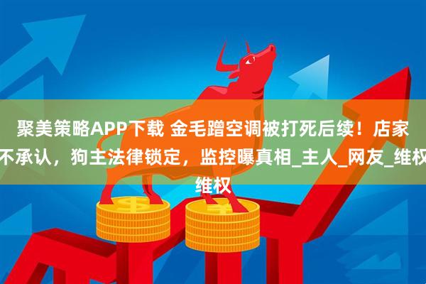 聚美策略APP下载 金毛蹭空调被打死后续！店家不承认，狗主法律锁定，监控曝真相_主人_网友_维权