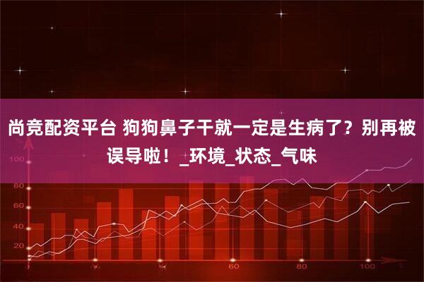 尚竞配资平台 狗狗鼻子干就一定是生病了？别再被误导啦！_环境_状态_气味